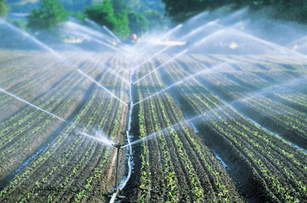 eau agricugture