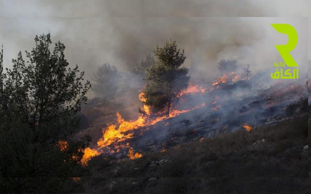 تجدد-الحرائق-بعدة-مناطق-في-الاراضي-الفلسطينية-المحتلة