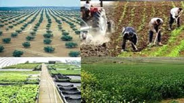 agriculture_tunisie