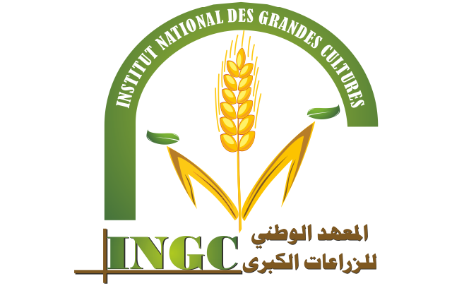 المعهد الوطني للزراعات الكبرى ببوسالم