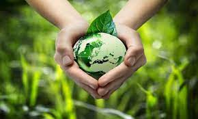 صندوق المنح الخضراء العالمي